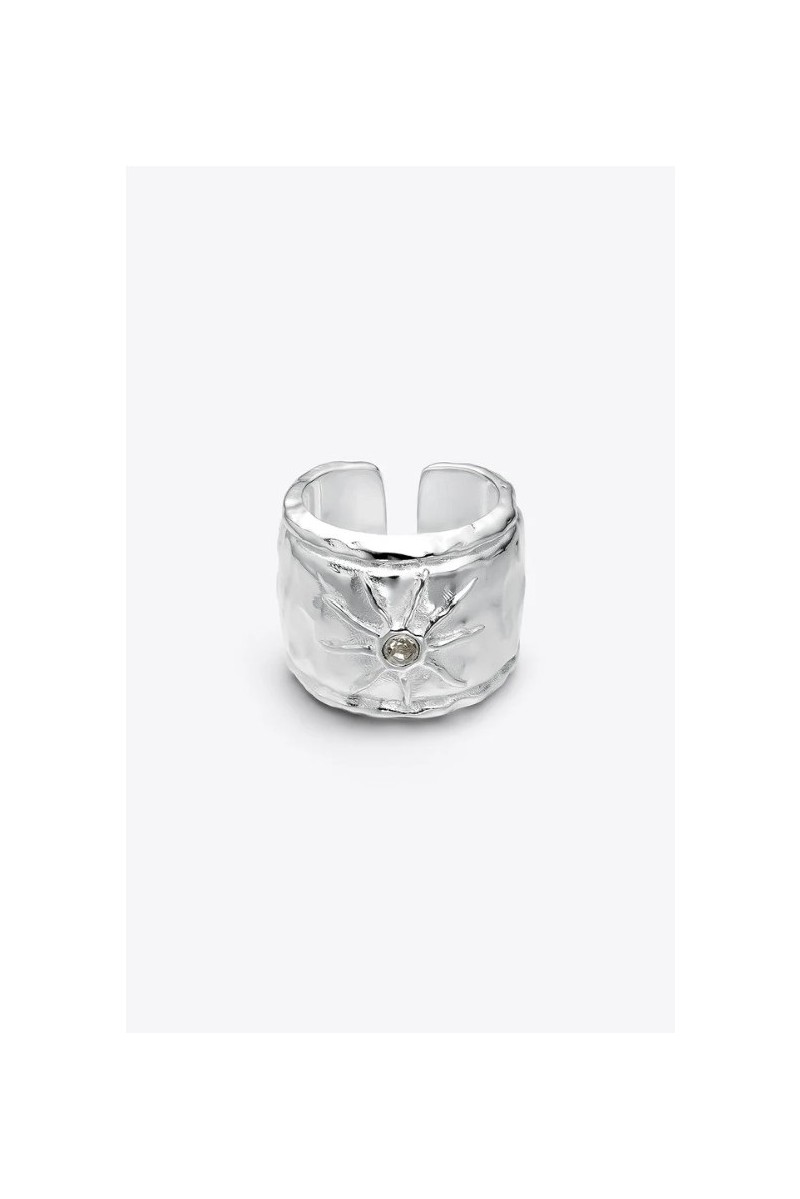 Anillo Ribera DosPrimeras