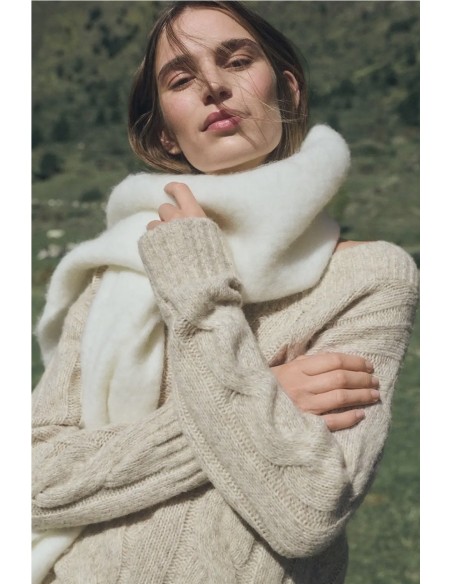 Jersey Bristol EseOese