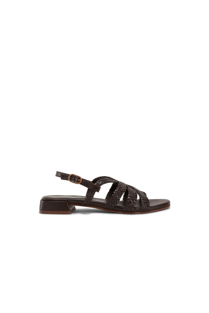 Sandalia Elodie 220V