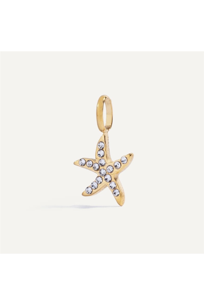 Charm Estrella DosPrimeras