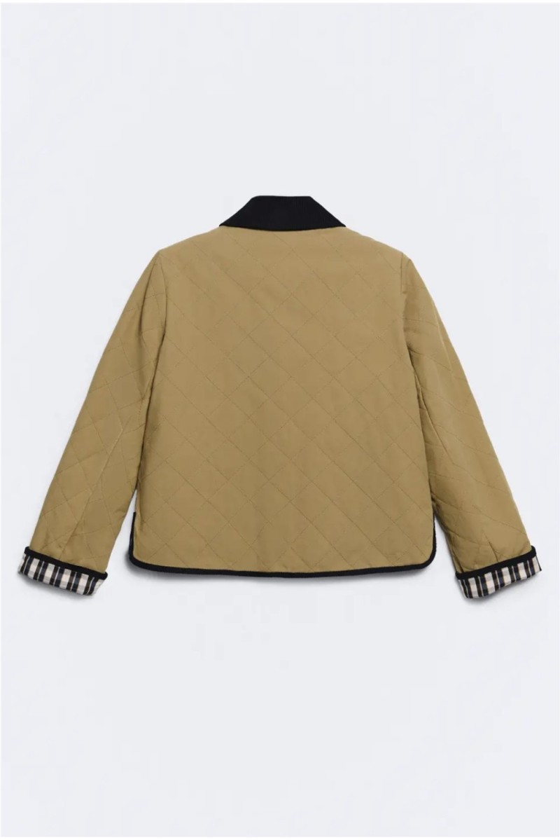 Chaqueta Cotswolds EseOese
